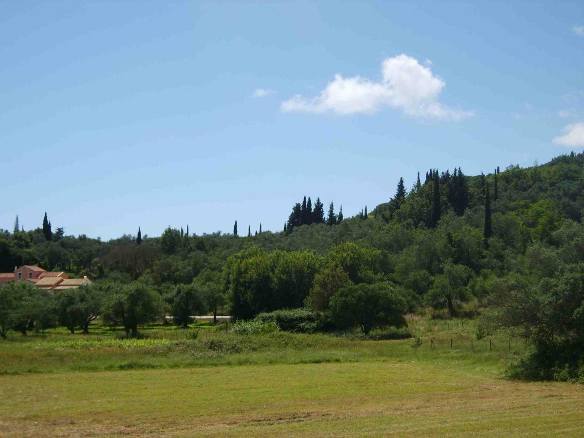 Villa Ettore Gardeládes Exteriör bild